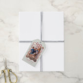 Groene gestreepte kerstfoto cadeaulabel (Met Touw)