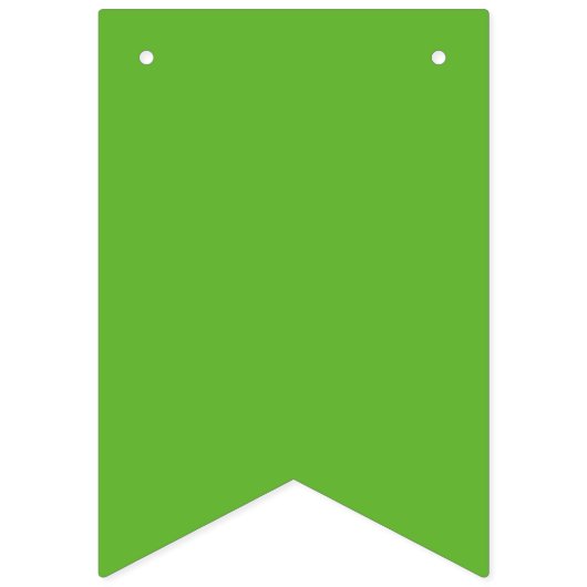 Groene Gingham Vlaggetjes (Tweede vlag)