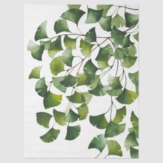 Groene Ginkgo Biloba -  Tissuepapier (Voorkant)