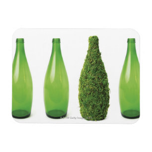 Groene glazen flessen met recycling en magneet
