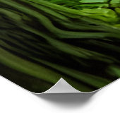 Groene godin in een Magic Forest Poster (Hoek)