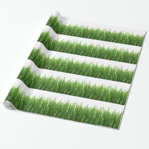 Groene gras achtergrond cadeaupapier