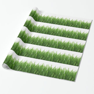 Groene gras achtergrond cadeaupapier