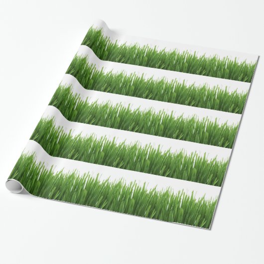 Groene gras achtergrond cadeaupapier (Uitgerold)