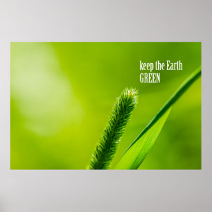 Groene gras en zon - Aarde groen houden Poster