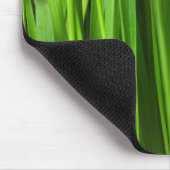 Groene gras, Grass Background, Leaf, Leaves, Plant Muismat (Hoek)