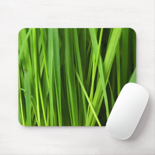 Groene gras, Grass Background, Leaf, Leaves, Plant Muismat (Met muis)
