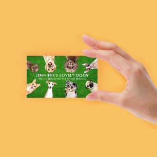 Groene Gras Schattige Honden van Kleine Grootte Di Visitekaartje