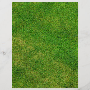 Groene Gras Textuur