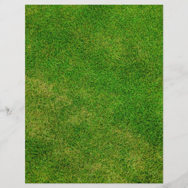 Groene Gras Textuur (Voorkant)