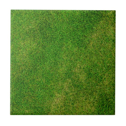 Groene Gras Textuur Tegeltje (Voorkant)