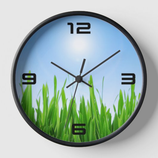 Groene gras tuin met blauwe lucht ontwerp (Voorkant)