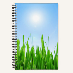 Groene gras tuin met blauwe lucht ontwerp notitieboek