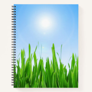 Groene gras tuin met blauwe lucht ontwerp notitieboek