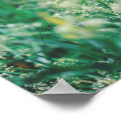 Groene grasbloemen verlaten Natuur van weide Poster (Hoek)