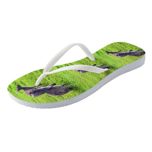 Groene Grass Kangaroos, Teenslippers (Schuin)