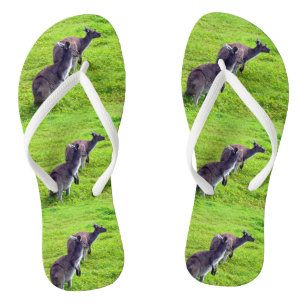 Groene Grass Kangaroos, Teenslippers