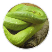 GROENE GRASSLANG KERAMISCHE KNOP (Voorkant)