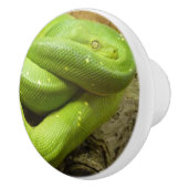 GROENE GRASSLANG KERAMISCHE KNOP (Rechts)