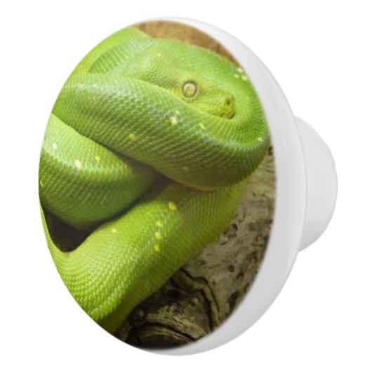 GROENE GRASSLANG KERAMISCHE KNOP (Rechts)