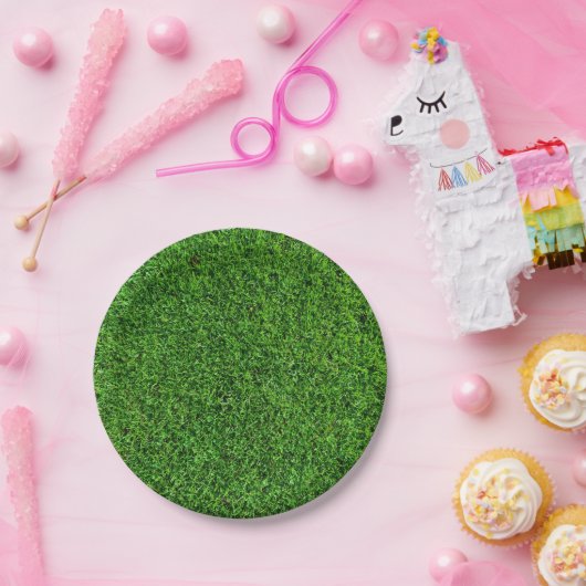 Groene grastextuur papieren bordje (Feest)