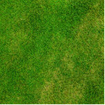 Groene grastextuur staand fotobeeldje<br><div class="desc">Foto van groene grastextuur. Grote groene grasachtergrond voor veel geweldige producten en sjablonen. Voeg uw eigen tekst toe en personaliseer deze giften met monogrammen en douaneteksten. Maak ze echt uniek!</div>