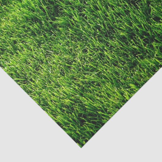 Groene grastextuur van een voetbalveld tissuepapier (Detail)