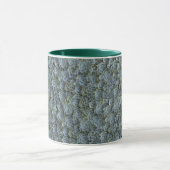 GROENE GRIJZE SUCCULENTE PLANT ROZETTEN MOK (Midden)