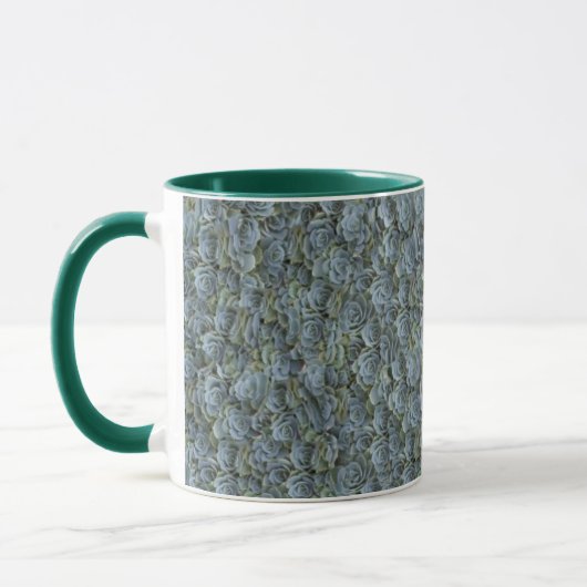 GROENE GRIJZE SUCCULENTE PLANT ROZETTEN MOK (Links)