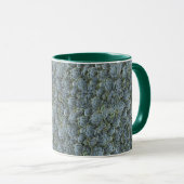 GROENE GRIJZE SUCCULENTE PLANT ROZETTEN MOK (Voorkant rechts)