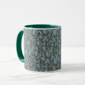 GROENE GRIJZE SUCCULENTE PLANT ROZETTEN MOK (Voorkant links)