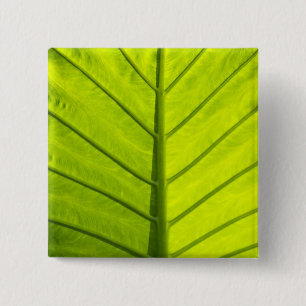 Groene, groen geaderde bladeren van tropische blad vierkante button 5,1 cm