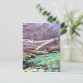 Groene grot briefkaart (Staand voorkant)