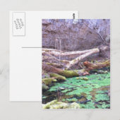 Groene grot briefkaart (Voorkant / Achterkant)