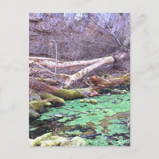 Groene grot briefkaart (Voorkant)