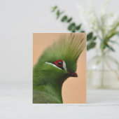 Groene Guinese Turaco-vogel Briefkaart (Staand voorkant)