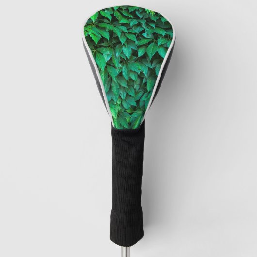 groene haag achtergrond parthenocissus patroon tek golfheadcover (Voorkant)