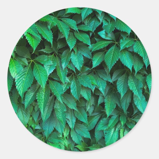 groene haag achtergrond ronde sticker (Voorkant)