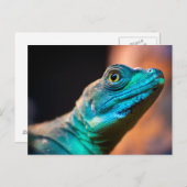 Groene hagedis briefkaart (Voorkant / Achterkant)