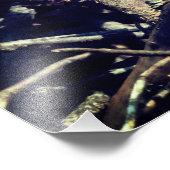 Groene hagedis foto afdruk (Hoek)