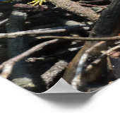 Groene hagedis foto Prints (Hoek)