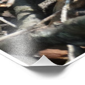 Groene hagedis foto prints foto afdruk (Hoek)