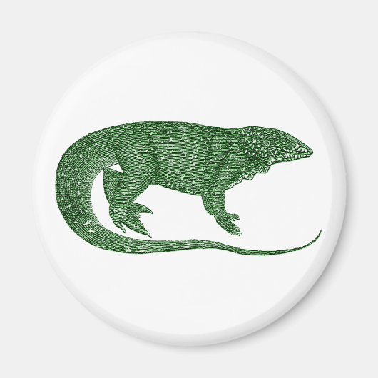groene hagedis magneet (Voorkant)
