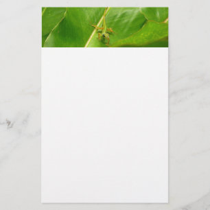 Groene hagedis op groen blad briefpapier