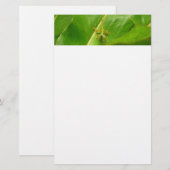 Groene hagedis op groen blad briefpapier (Voorkant / Achterkant)