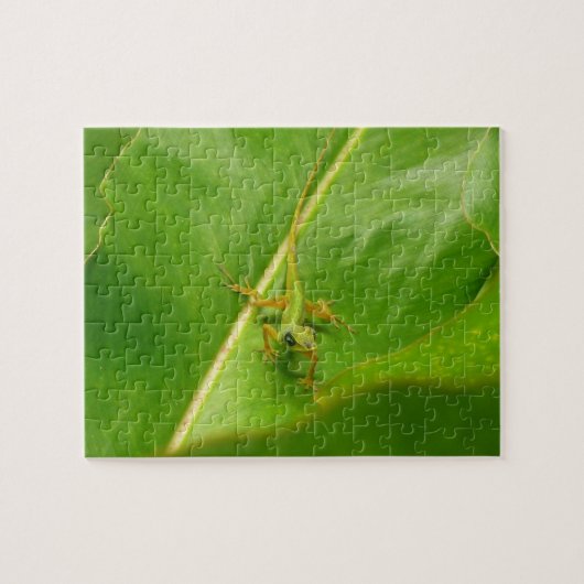 Groene hagedis op groen blad legpuzzel (Horizontaal)