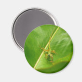 Groene hagedis op groen blad magneet (Voorkant / Achterkant)