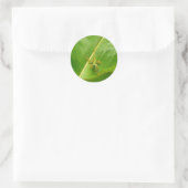 Groene hagedis op groen blad ronde sticker (Tas)