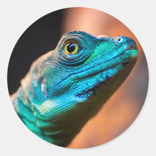 Groene hagedis ronde sticker (Voorkant)
