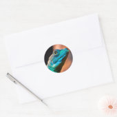 Groene hagedis ronde sticker (Envelop)